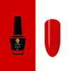 NW2011 Vernis SemiPermanent 5ml Pack de 12 pces