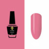 NW2079 Vernis SemiPermanent 15ml Pack de 25 pces