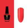 NW1110 Vernis SemiPermanent 15ml Pack de 25 pces