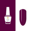 NW2693 Vernis SemiPermanent 15ml Pack de 25 pces