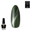Polish Gel Cat’s Eyes Hema Di-Hema FREE & TPO FREE Metallic MB1597