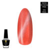Polish Gel Cat’s Eyes Hema Di-Hema FREE & TPO FREE Neon Flash MN1480