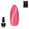 Polish Gel Cat’s Eyes Hema Di-Hema FREE & TPO FREE Neon Flash MN1482