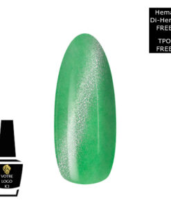 Polish Gel Cat’s Eyes Hema Di-Hema FREE & TPO FREE Neon Flash MN1487